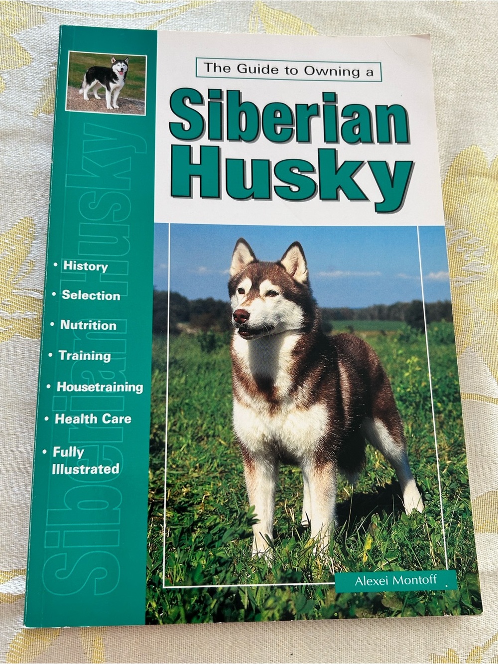 The Guide To Owning a Siberian Husky